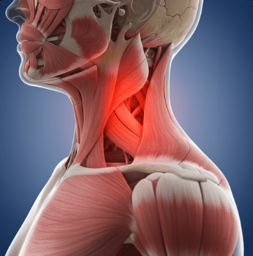 목 어깨 통증 원인 및 병원 선택 방법2