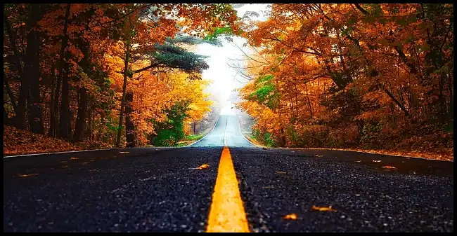 2024 내장산 단풍축제 기간 (국립공원)