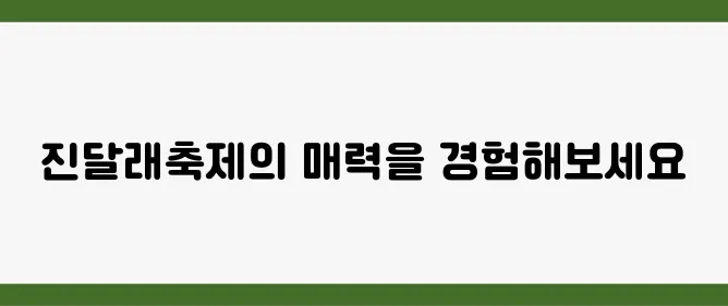 여수 여행의 하이라이트, 진달래축제에서 만나는 특별한 순간들!