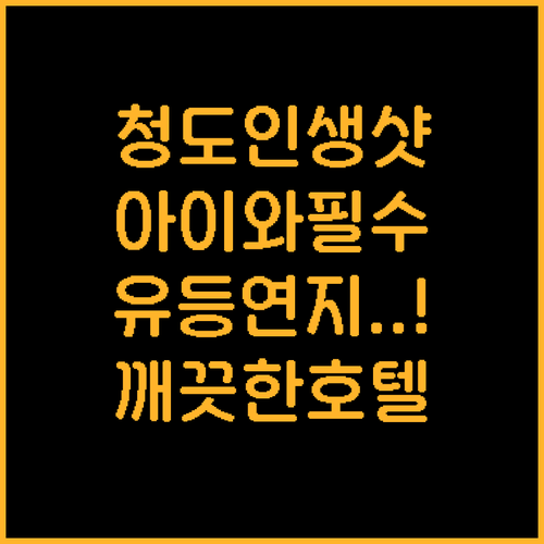 아이와 청도 유등연지 인생샷 찍는 법..