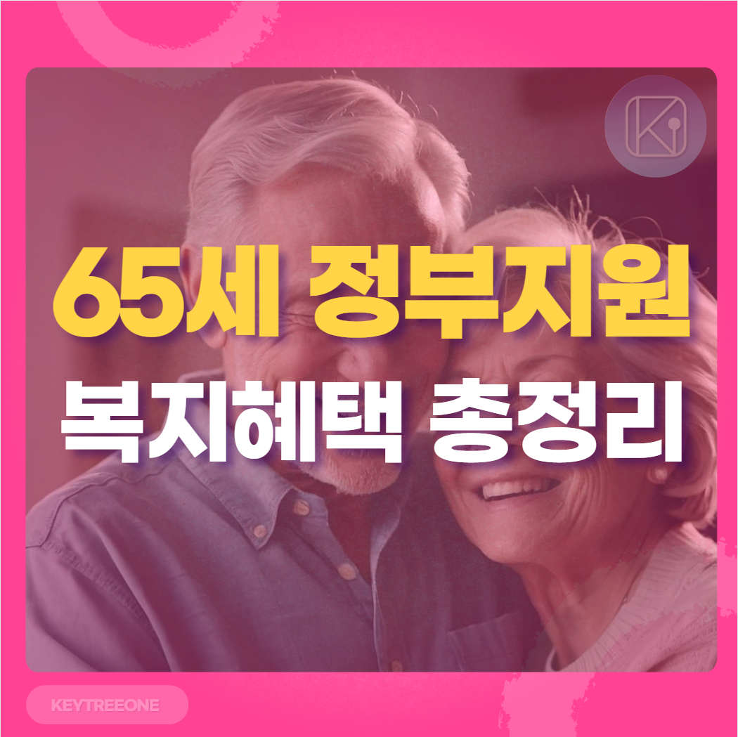 65세 정부지원 복지혜택