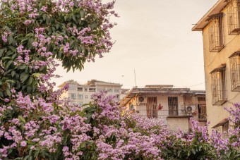 청년 월세지원금 신청방법 신청대상 알아보기