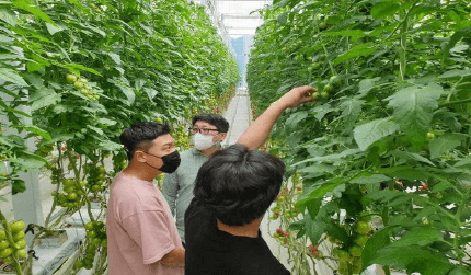 스마트팜혁신밸리 신청자격 우대사항 가산점(스마트팜코리아)