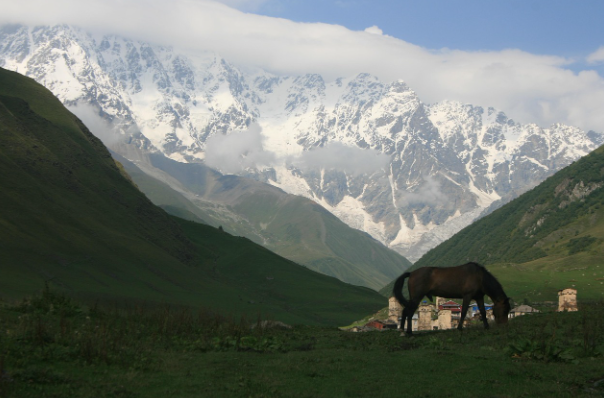 조지아 산맥 자연 사진