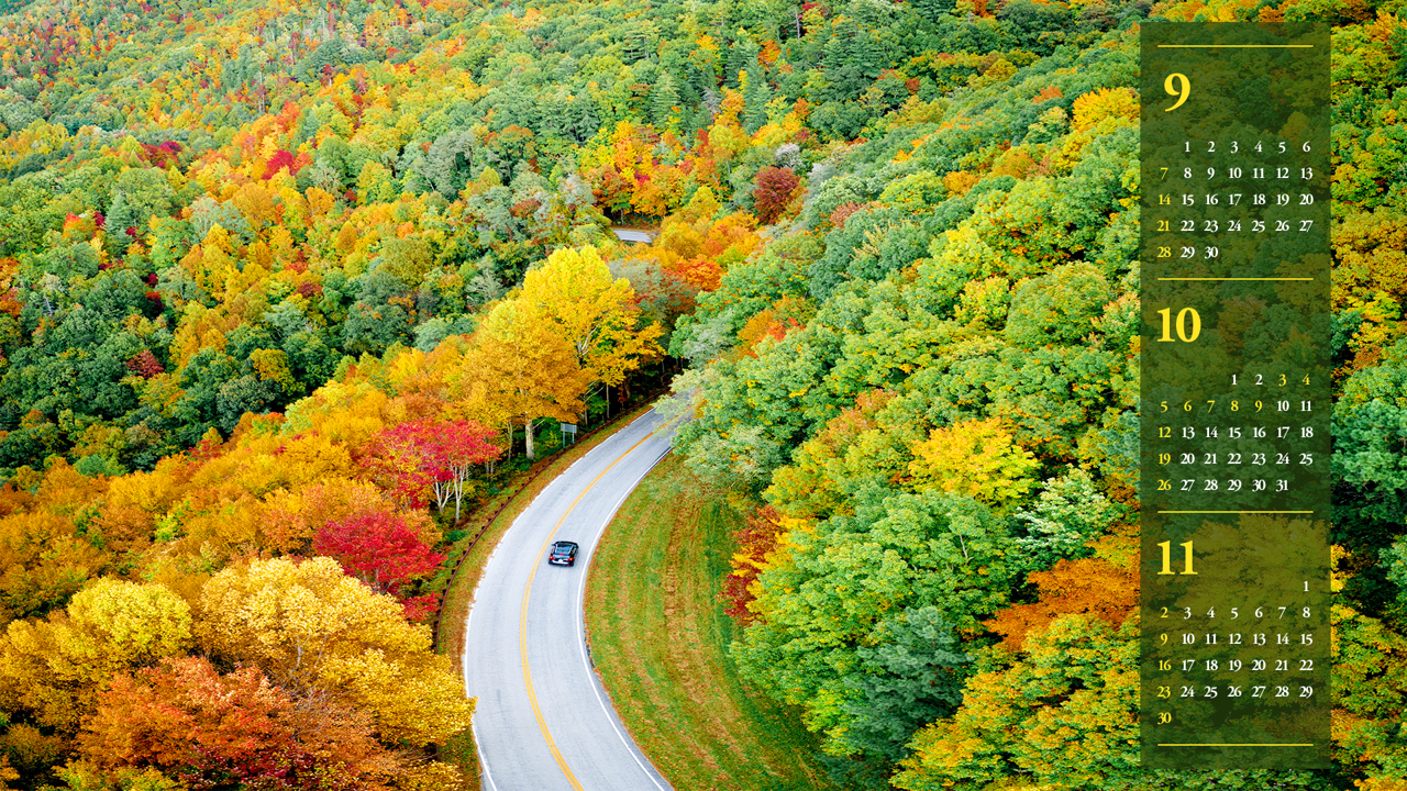 01 단풍 도로 B - 2025년10월 노트북배경화면