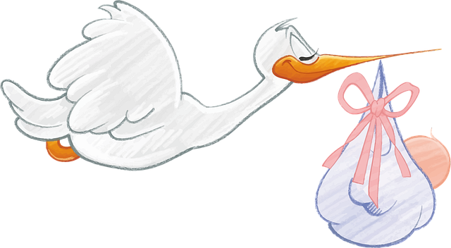 시험관 시술 4일배양 2개 이식