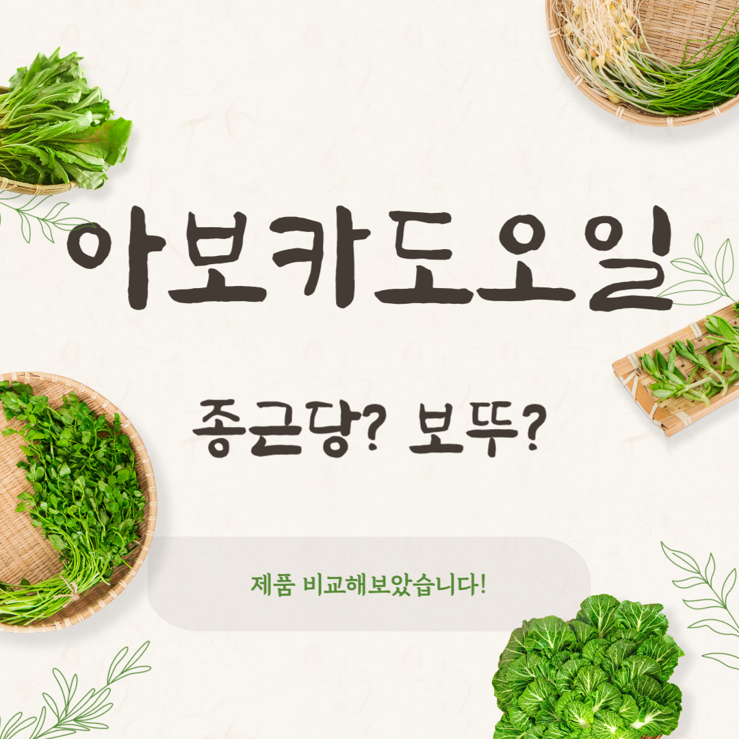 종근당 아보카도오일 후기|보뚜 제품과 비교해보니