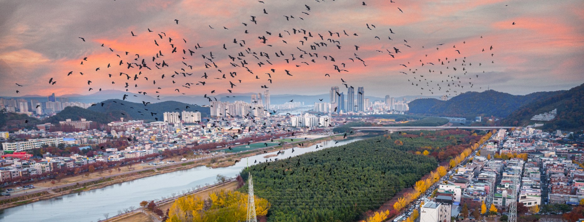 태화강-국가정원