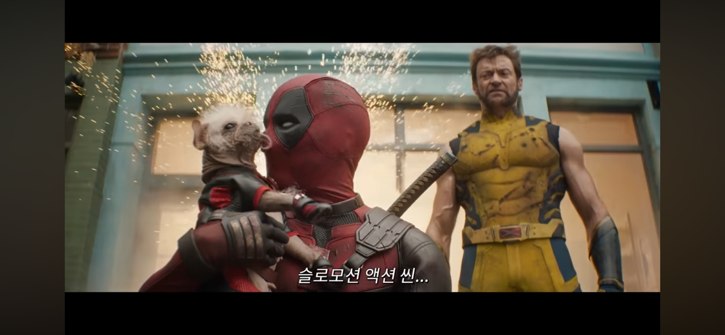 관전포인트 - 새로운 캐릭터