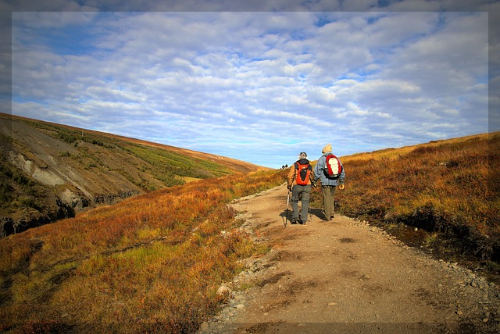 요양원 본인부담금 및 요양병원 본인부담금 (총정리) 2024
