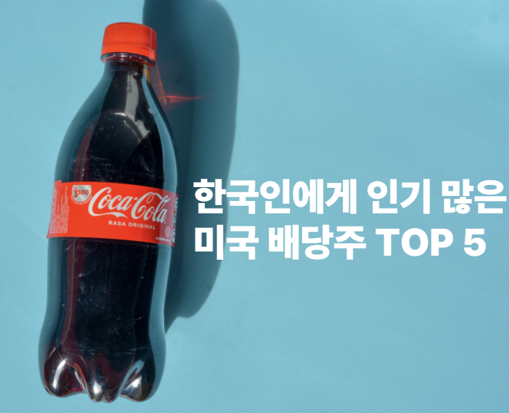 2025년 한국인에게 인기 많은 미국 배당주 TOP 5 총정리