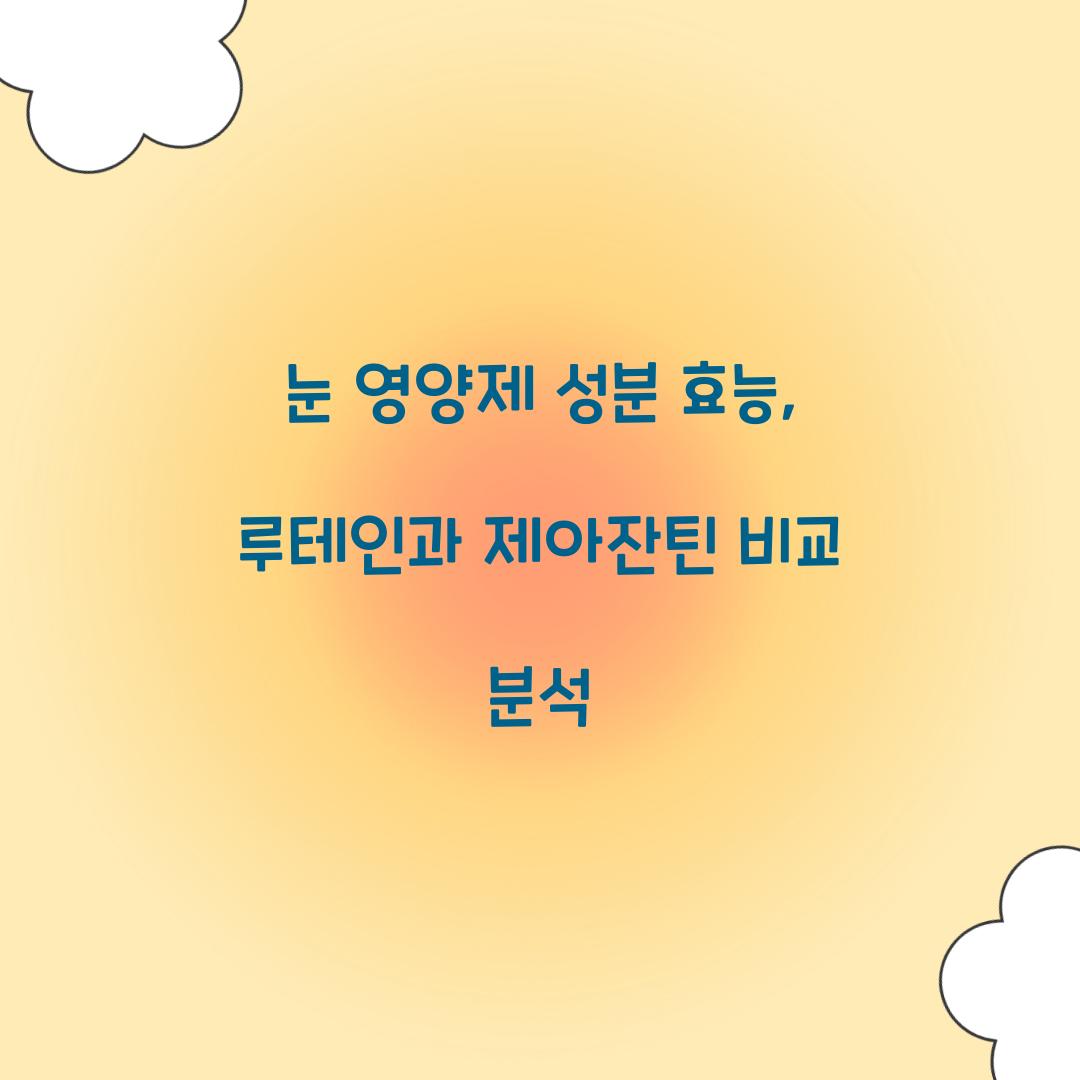 눈 영양제 성분 효능