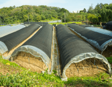 경기도 농민 기본소득 지원사업, 지원금 신청 방법, 조건
