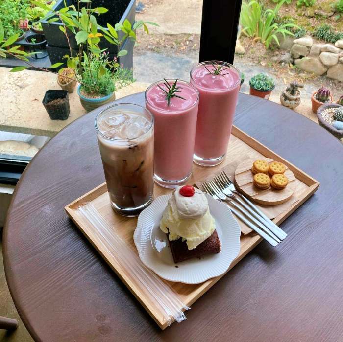 생방송오늘저녁 정읍 정원 식물원 수목원 민간정원 가든 카페