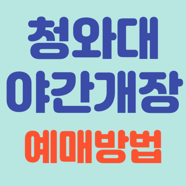 청와대 야간 개장