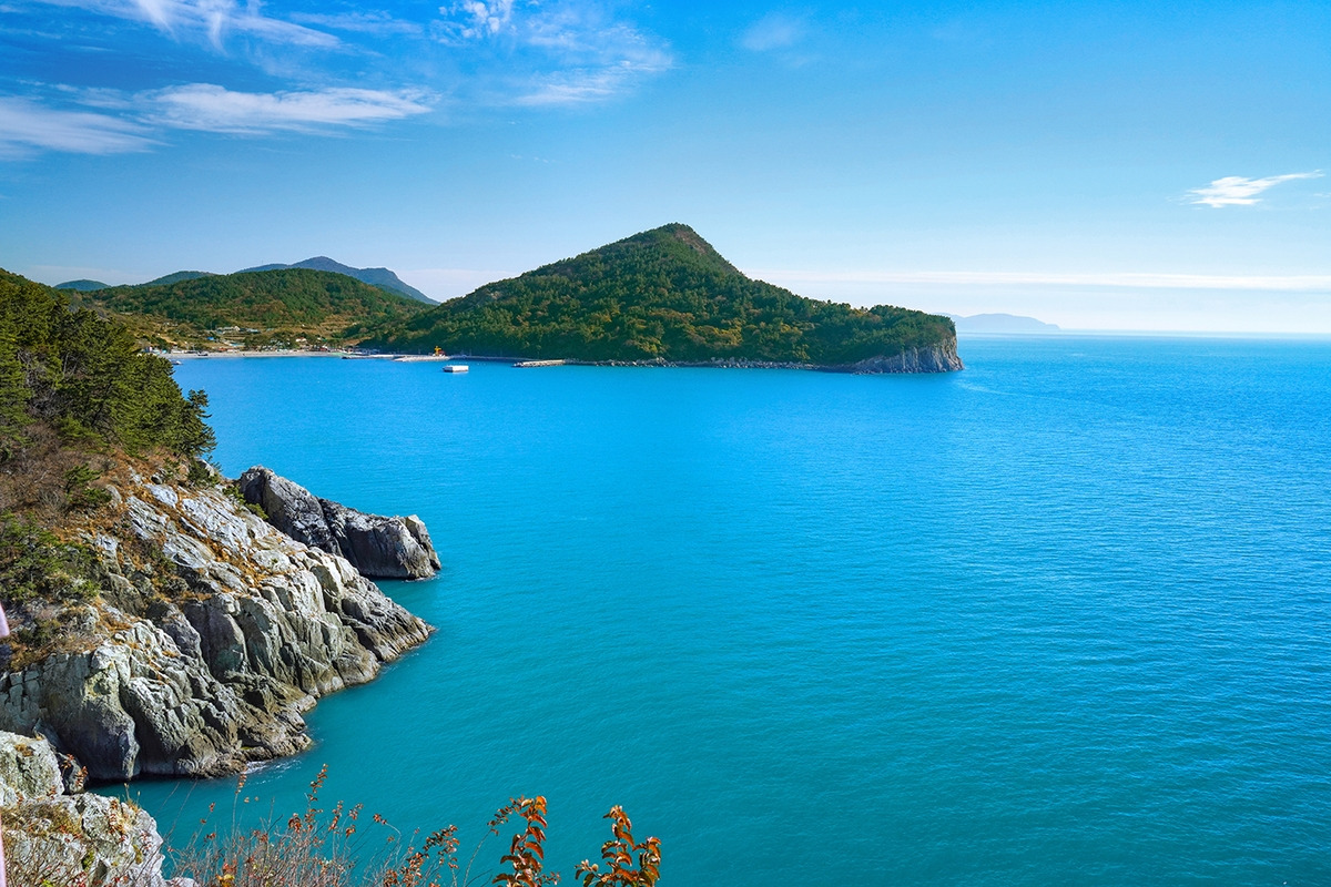 금오도 배시간표