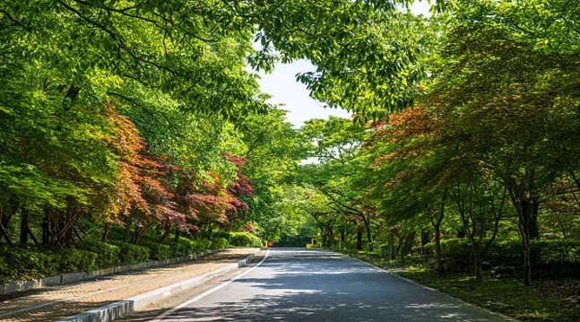 성주산자연휴양림