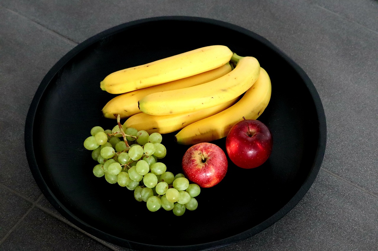 보건 의료 정보 관리사