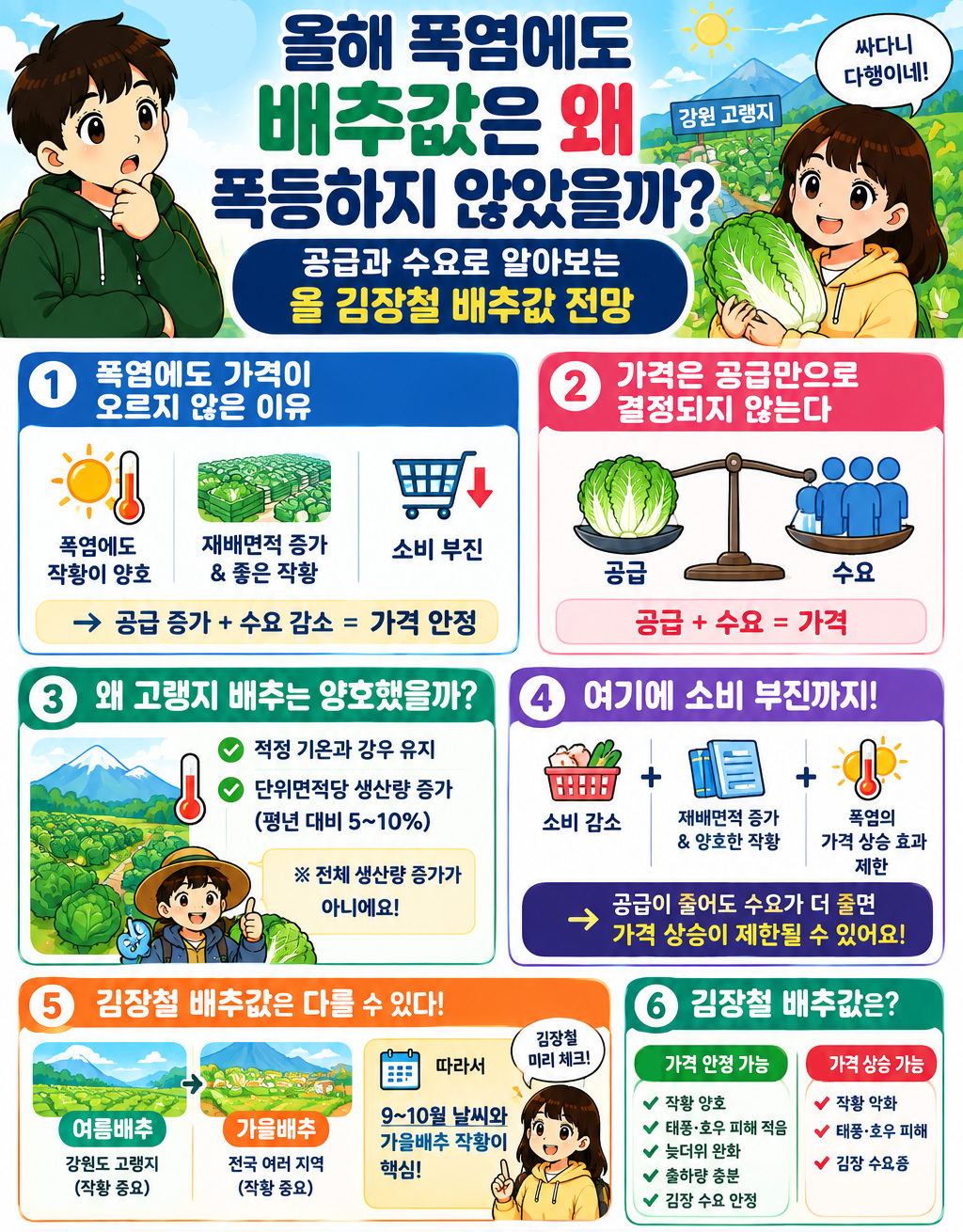 올해 폭염에도 배추값은 왜 폭등하지 않았을까