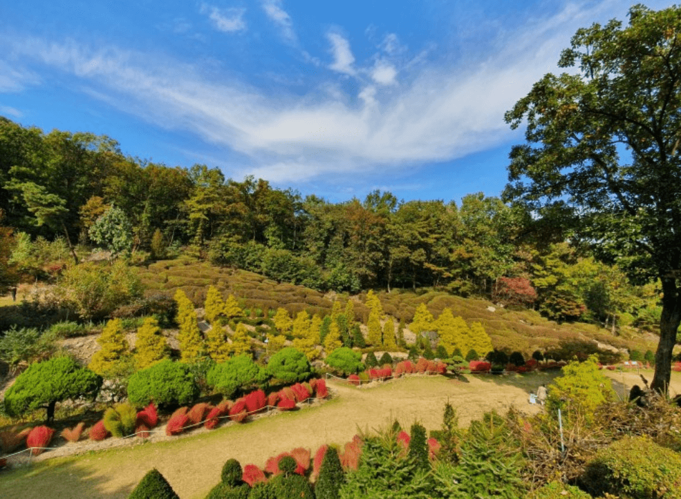 μ¨λ΄μλ¬Όμ-κ°€λ¬λ¦¬