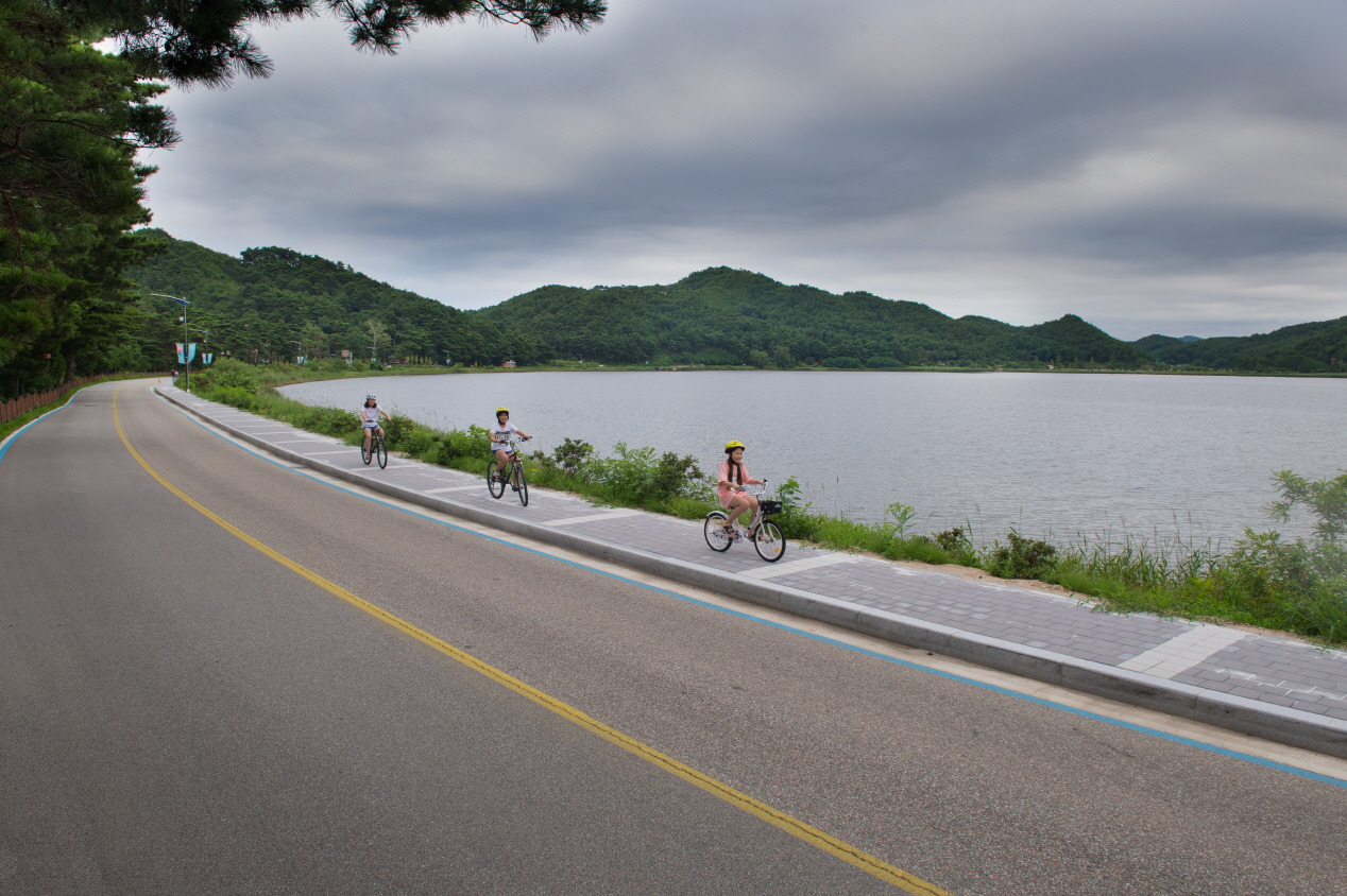 강원도 동해 고성 자전거길