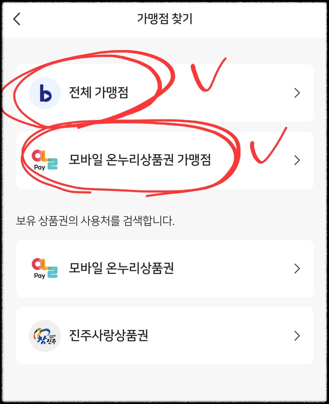 비플페이 의미