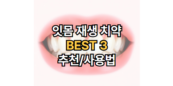 잇몸-재생-치약-추천