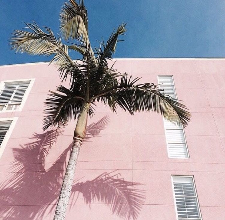 러블리한 파스텔톤 핑크스타일