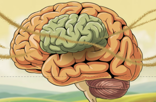 혈당과 기억력&amp;#44; 당뇨병이 뇌 건강에 미치는 영향