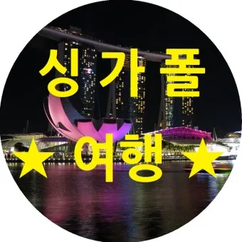 싱가포르 여행경비 3박4일 실측 가이드 낭비 없는 예산 짜기_23