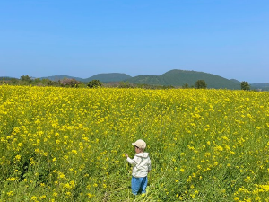 제주도-여행-후기-렌트카-예약-방법