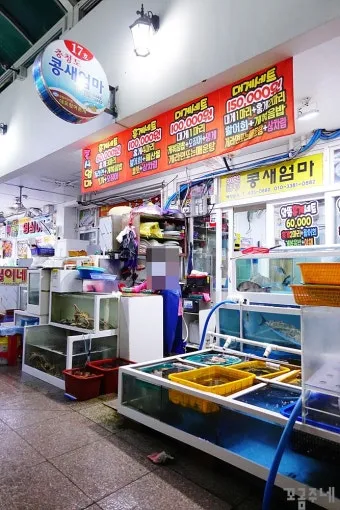 대포항 회센터 맛집 회거리 산책 주차 바다뷰 카페까지_3