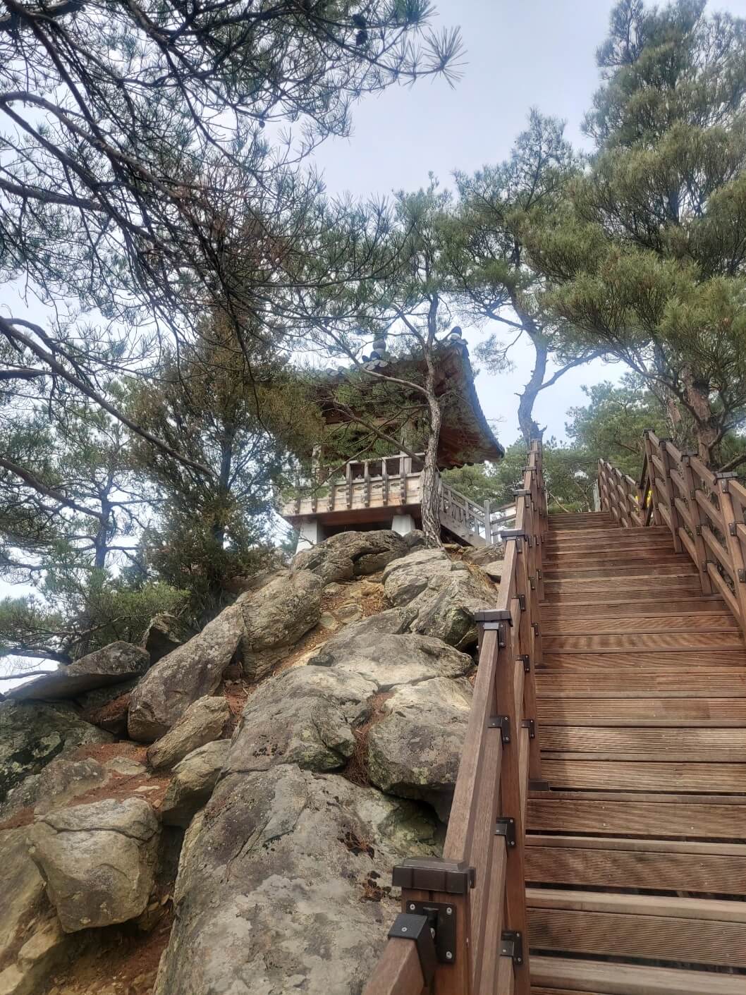 비룡정 초입