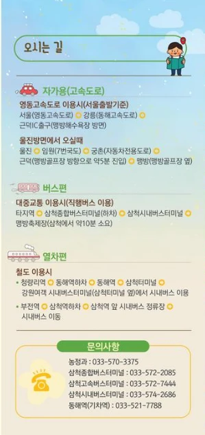 삼척 맹방 유채꽃 축제 프로그램&amp;#44; 주차장 및 교통 총정리(+주변 관광 명소)