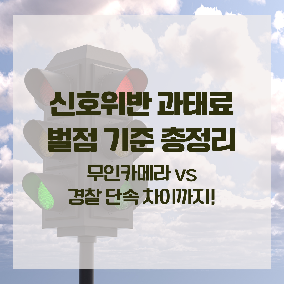 신호위반 과태료 벌점 기준 총정리