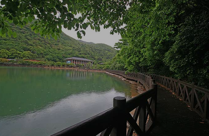 완도수목원 수변데크