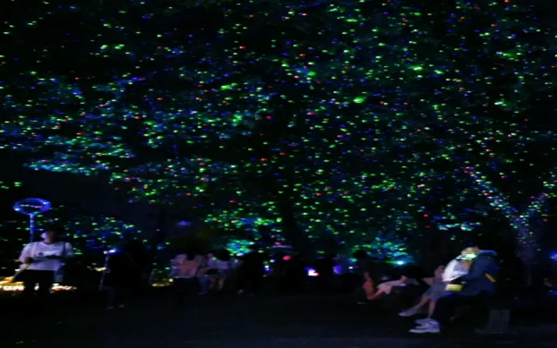 담양 대나무축제_20