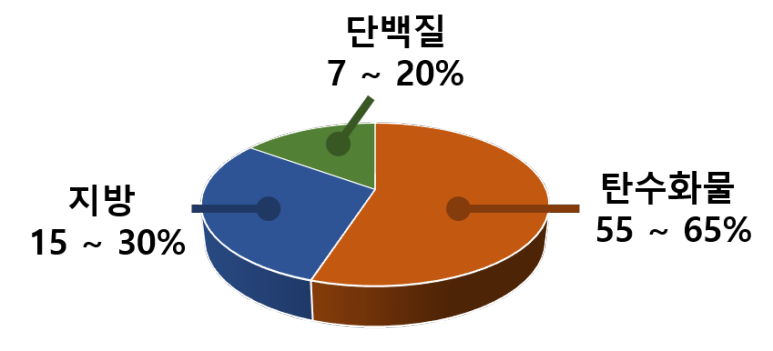 영양소 섭취 비율