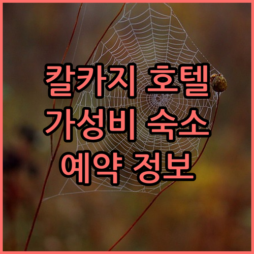 칼카지 가성비 호텔 숙박 후기 및 예