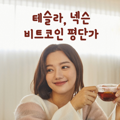 테슬라_넥슨_비트코인_투자