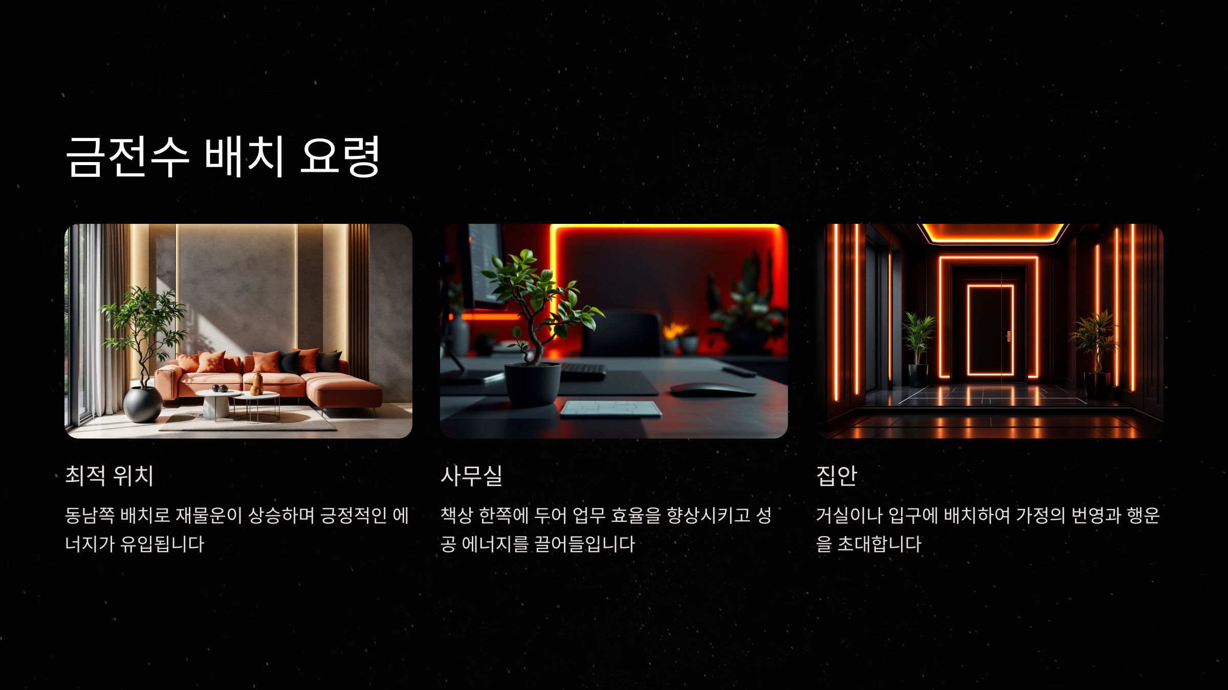 금전수 배치 요령