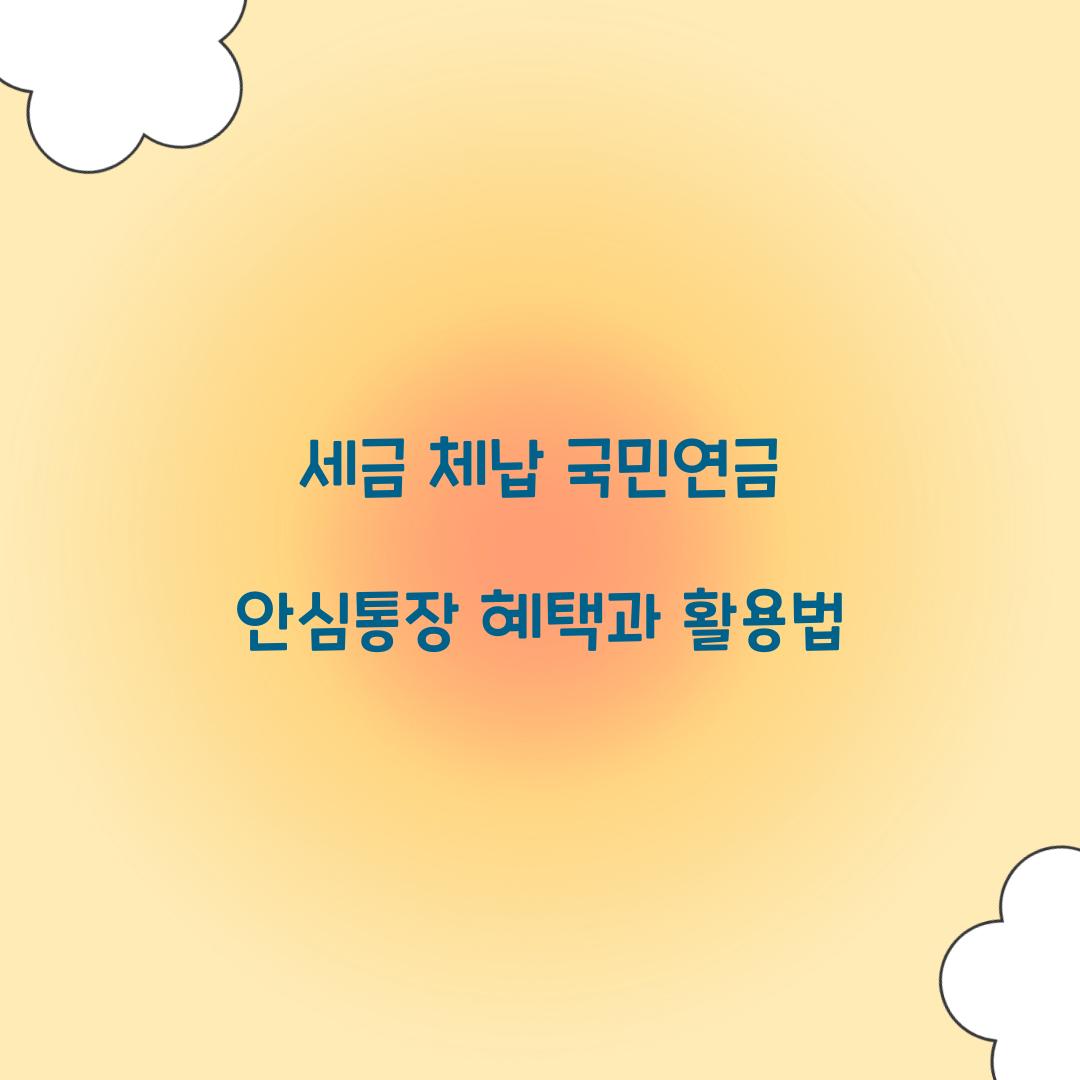 세금 체납 국민연금 안심통장