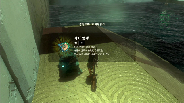 가시-방패-획득