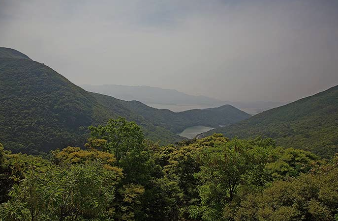 완도수목원
