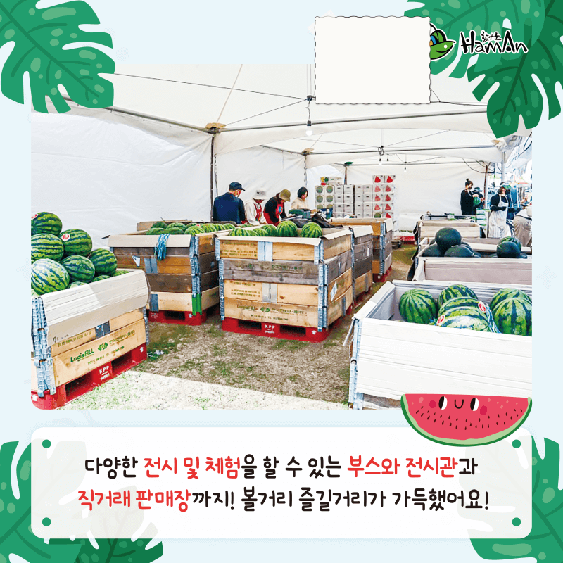 2025 함안 수박 축제 일정 프로그램 장소