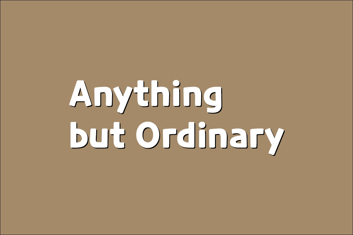 Anything but Ordinary 뜻