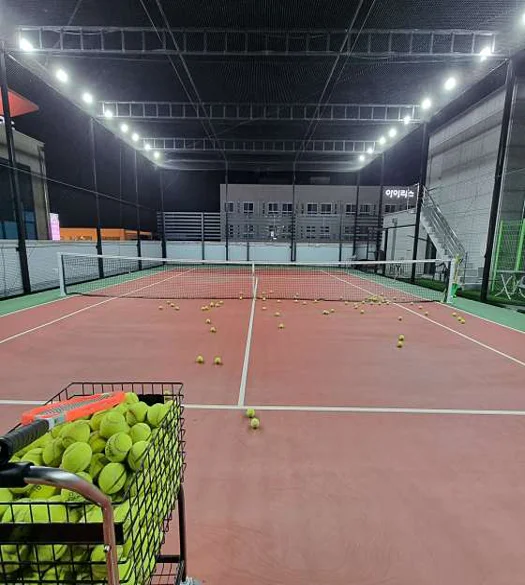 프로테니스 아카데미