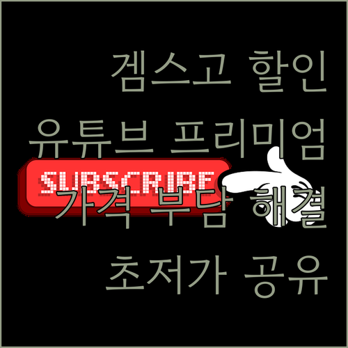 유튜브 프리미엄 가격 부담? 겜스고로