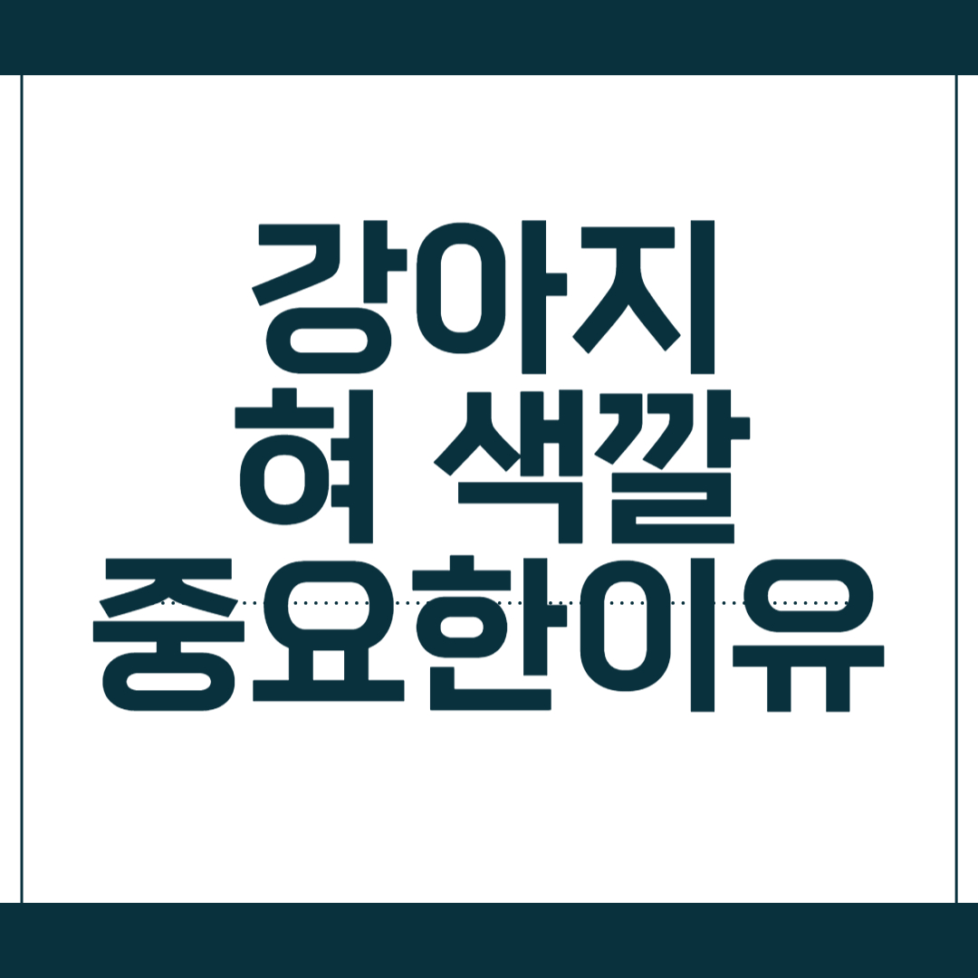 강아지 혀 색깔로 알아보는 건강 지표