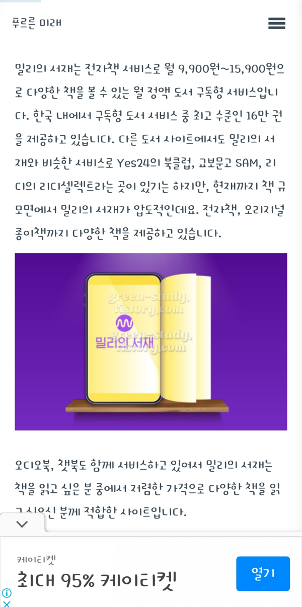 cat폰트구입 후기_16.webp